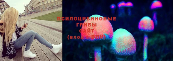 ПСИЛОЦИБИНОВЫЕ ГРИБЫ Аркадак